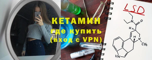 гидра Ельня