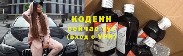 гидра Ельня