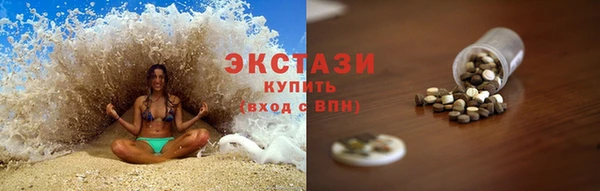гидра Ельня
