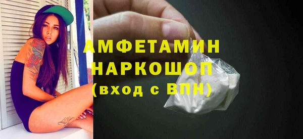 гидра Ельня