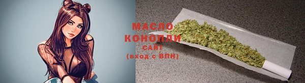 гидра Ельня