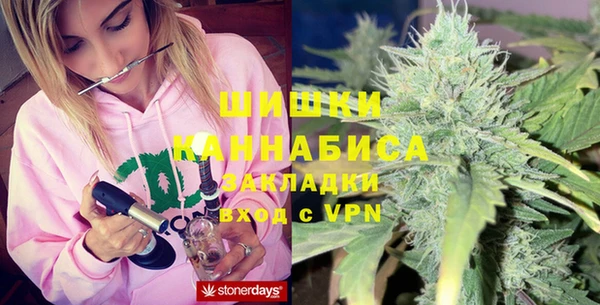 гидра Ельня