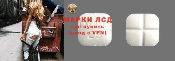 гидра Ельня