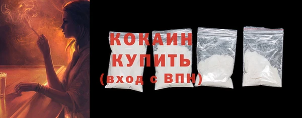 гидра Ельня