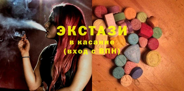 гидра Ельня