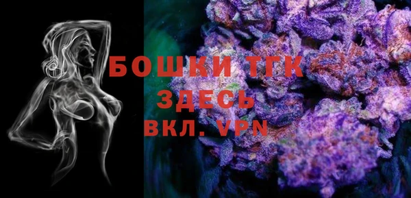 гидра Ельня