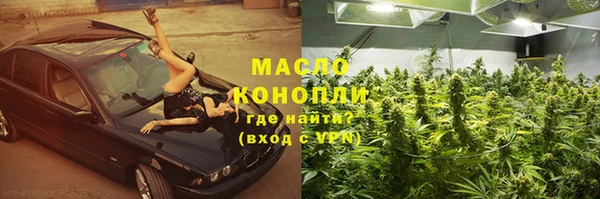 гидра Ельня