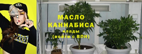гидра Ельня