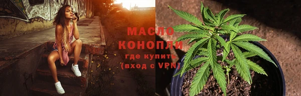 гидра Ельня