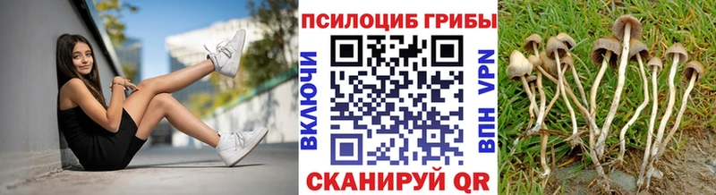 дарнет шоп  Чишмы  Галлюциногенные грибы мухоморы 